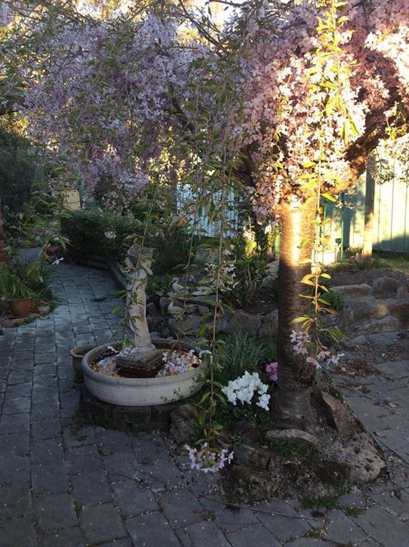 Beechworth Gorge Walk Guest House Exterior photo